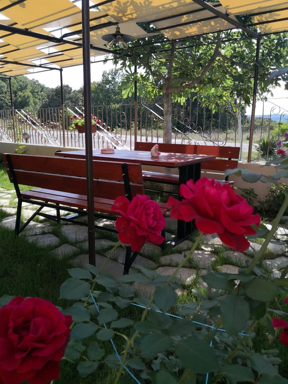 Patio, Garden