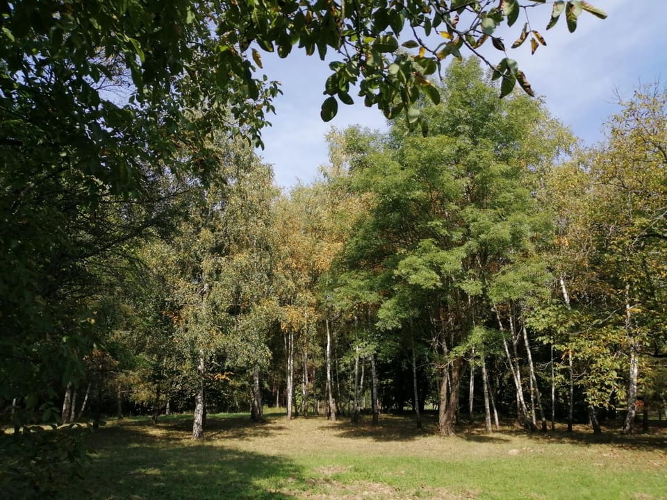 Natural landscape