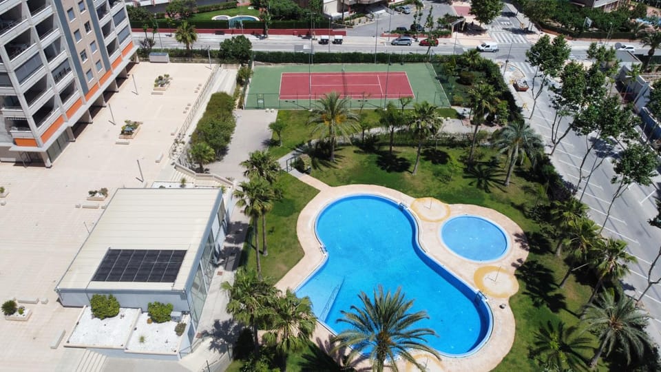 Garden, Swimming pool