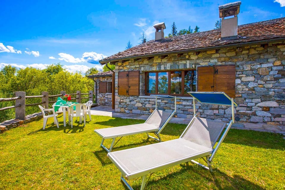 Garden, Garden view, sunbed