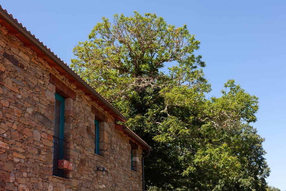 Property building, Spring