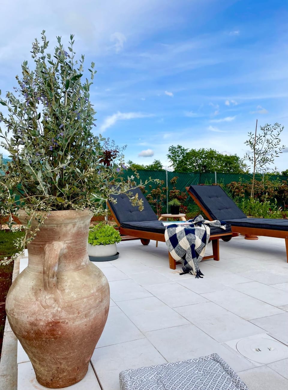 Patio, Day, Garden, Garden view, sunbed