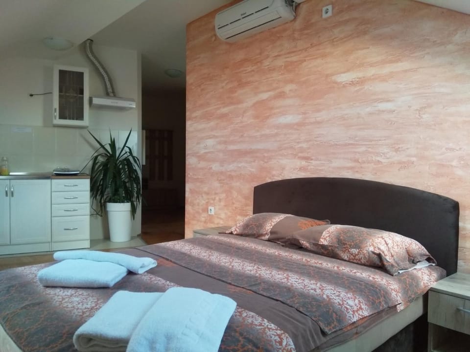 Apartment Loft Apartment in Serbia