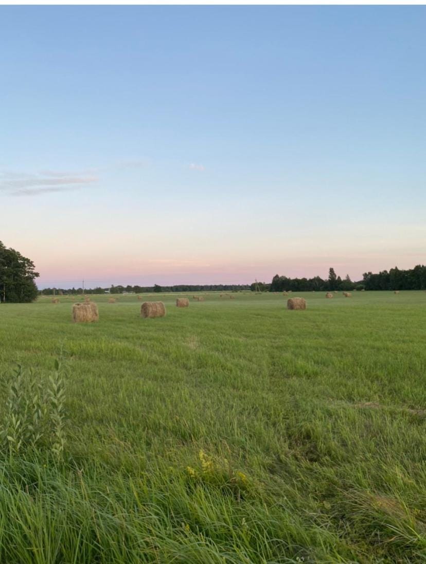 Private Hiiumaa Cottage plus Sauna House in Estonia