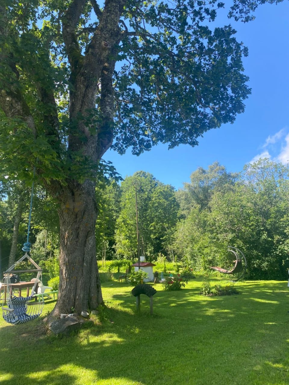 Natural landscape, Garden, Garden view