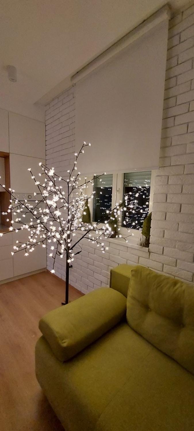 Apartment Ana, Vračar, Belgrade Apartment in Belgrade