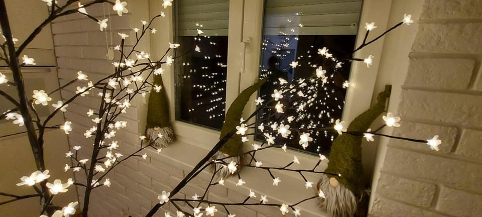 Apartment Ana, Vračar, Belgrade Apartment in Belgrade