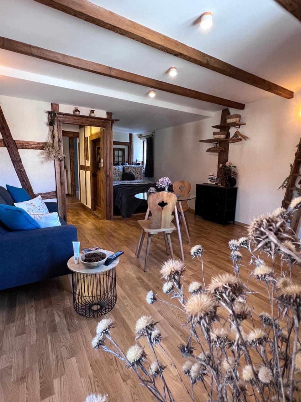 Le Petit Cocon House in Grand Est