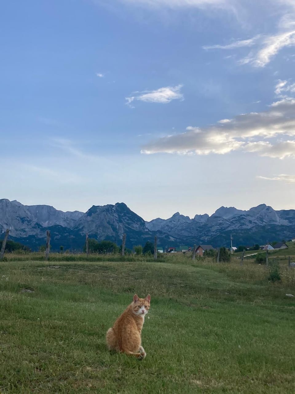 Guest House Nena House in Montenegro