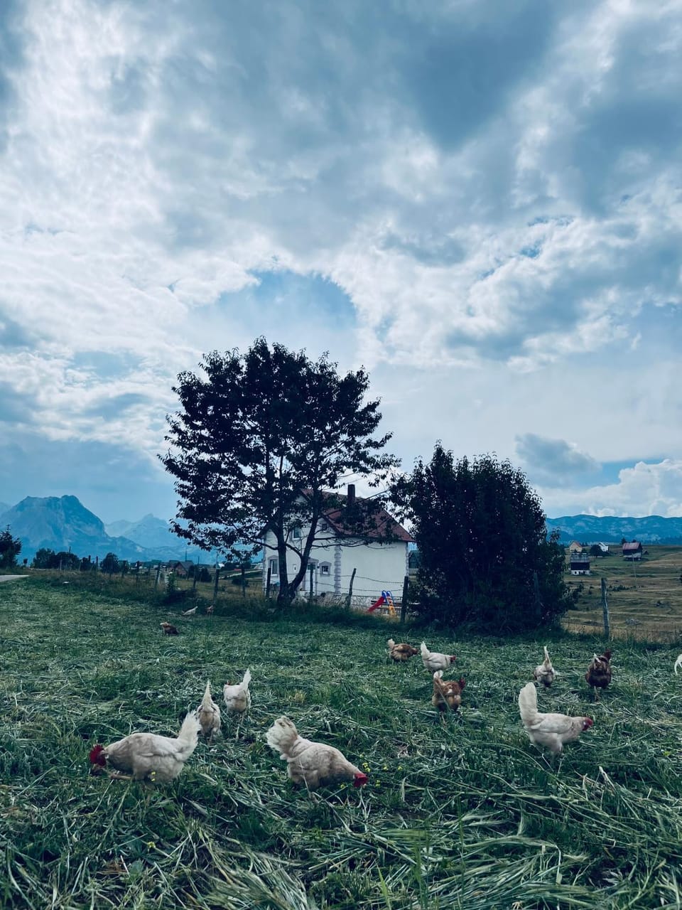 Guest House Nena House in Montenegro