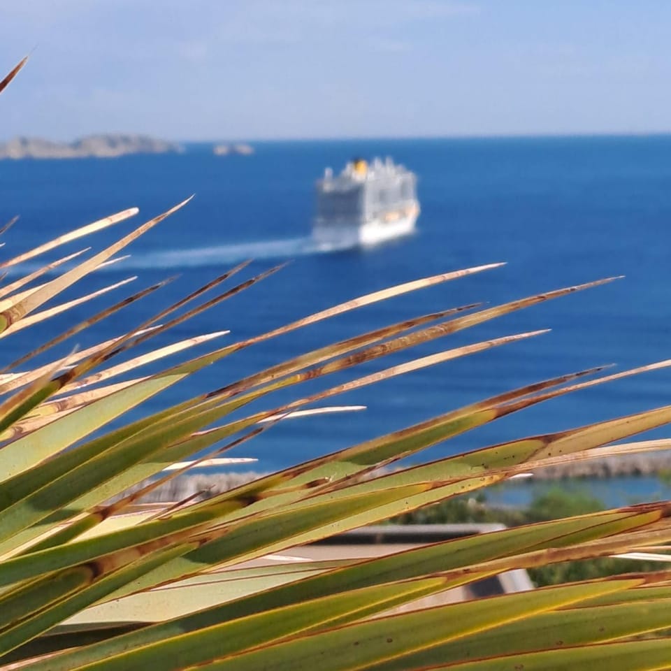 LES SUITES LOVE 1 SPA VUE MER PISCINe Bed and Breakfast in Marseille