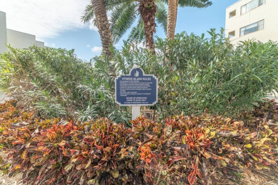 421-Fully renovated, WIFI, Pool, Amazing Views, Near BUCS Stadium Apartment in Tampa