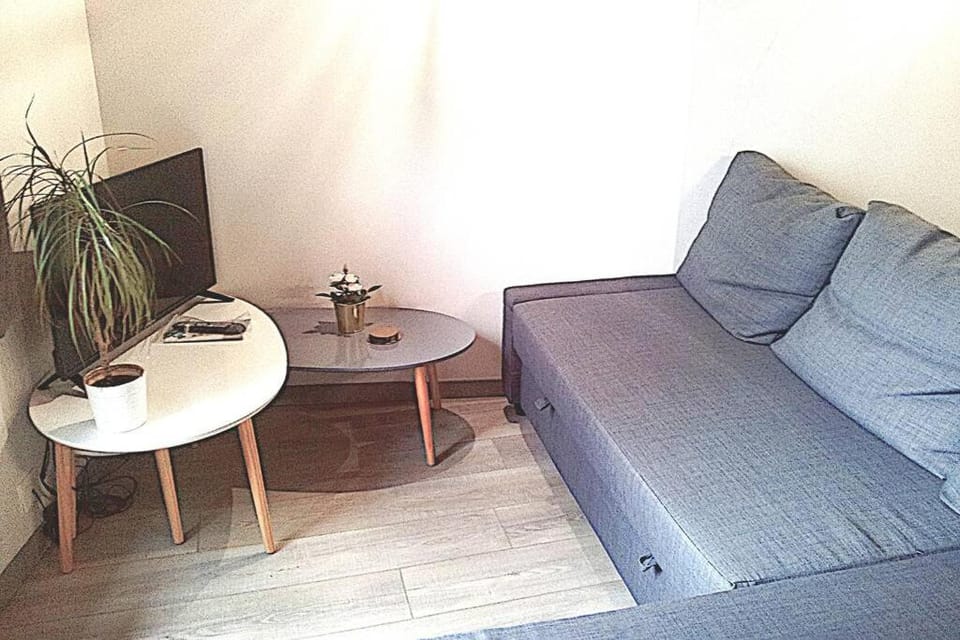Appartement en duplex - tout confort plein-centre Apartment in Occitanie