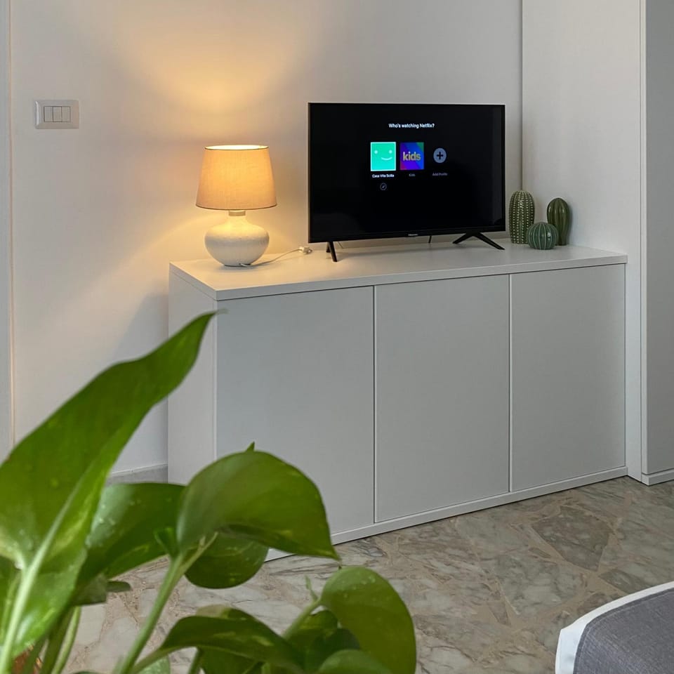 TV and multimedia