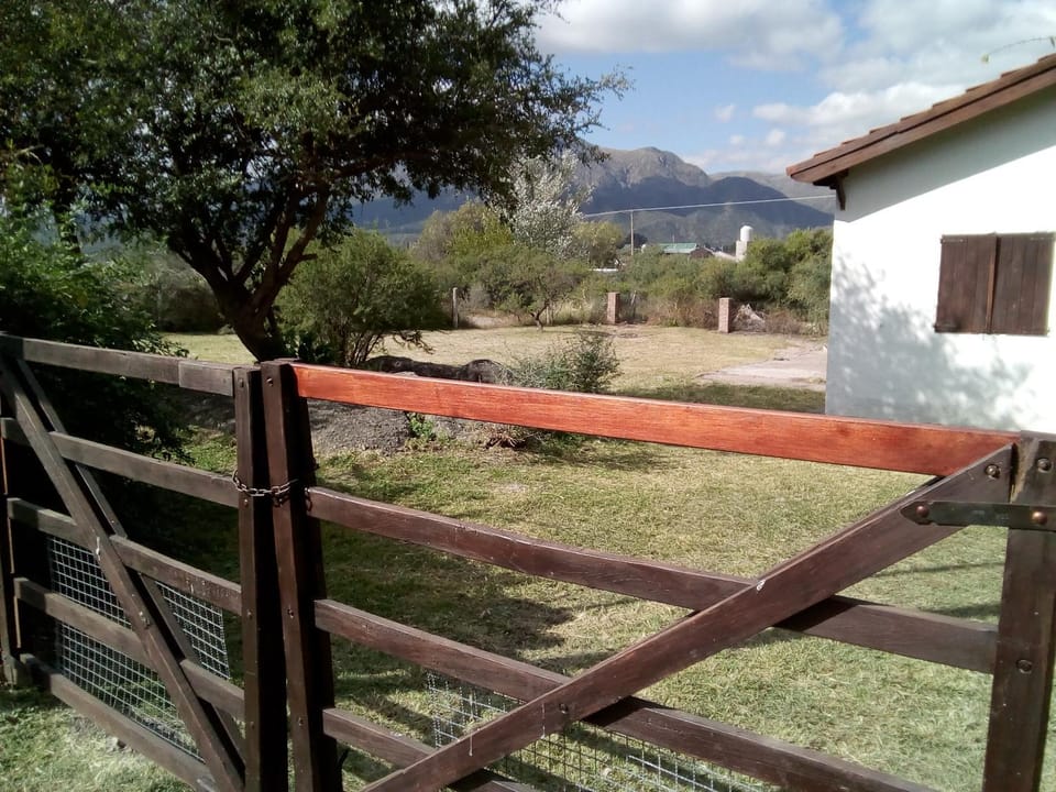 Natural landscape, Garden