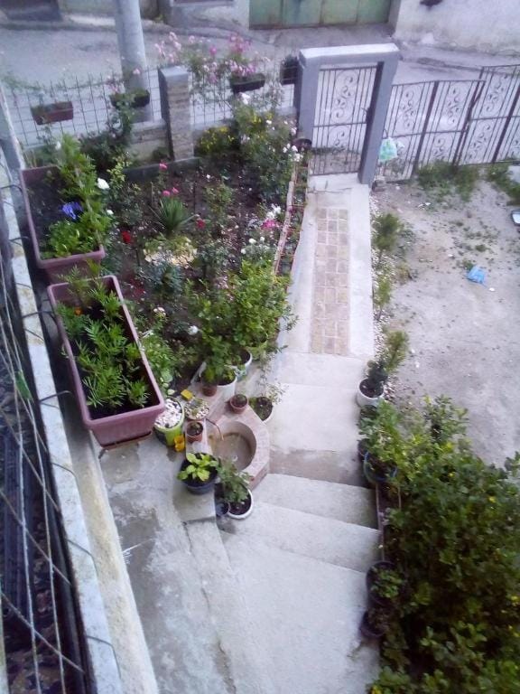 View (from property/room), Garden view