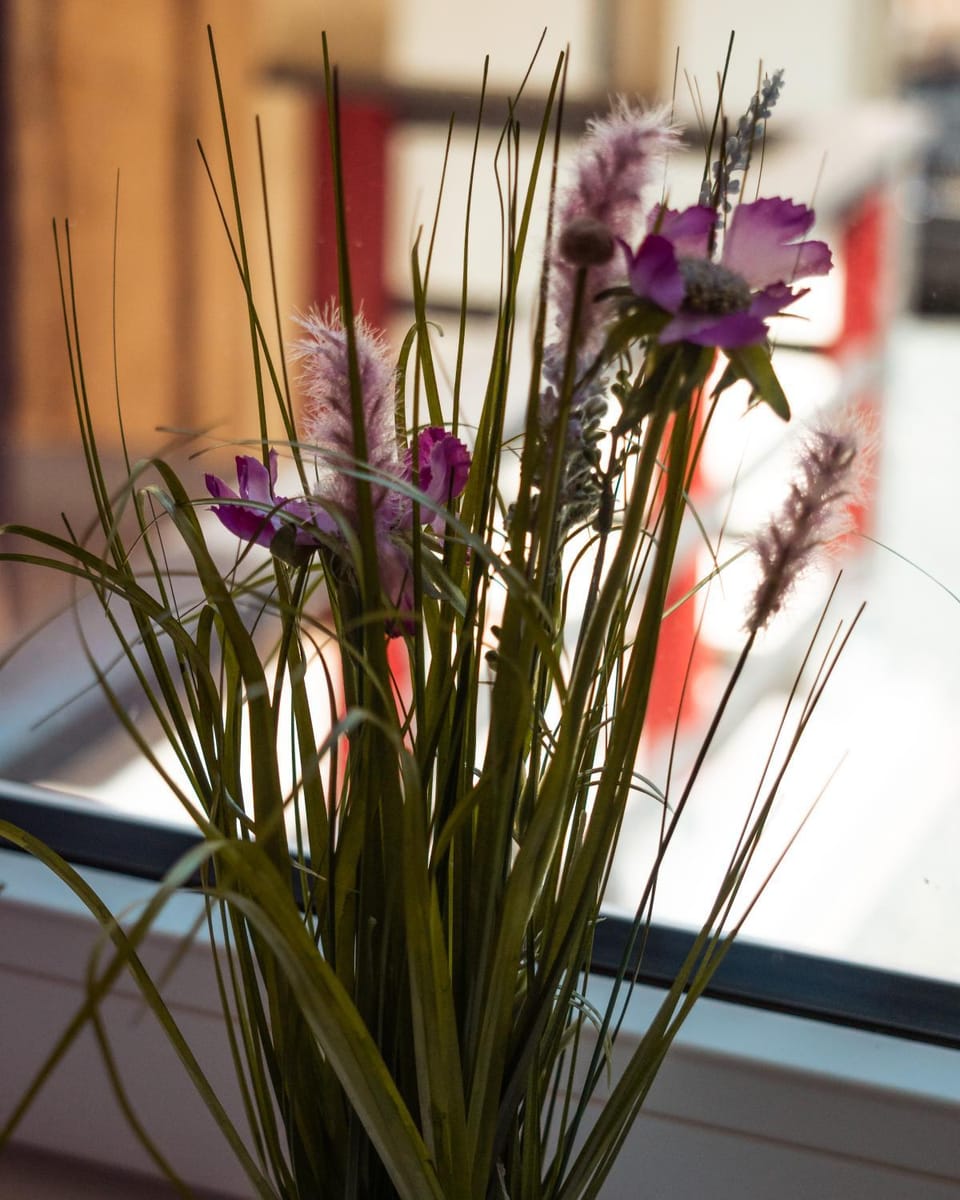 Appartementhaus- Bredner / Appartement II Apartment in Bad Schandau