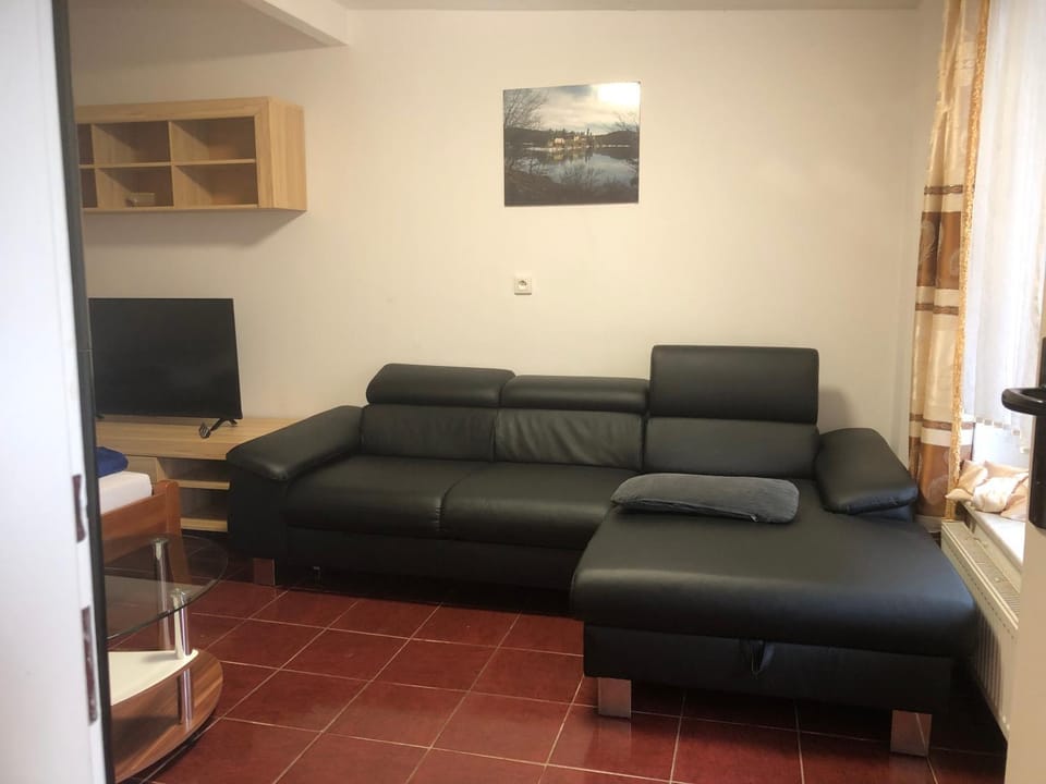 Penzion Duong Apartments Apartment in Saxony