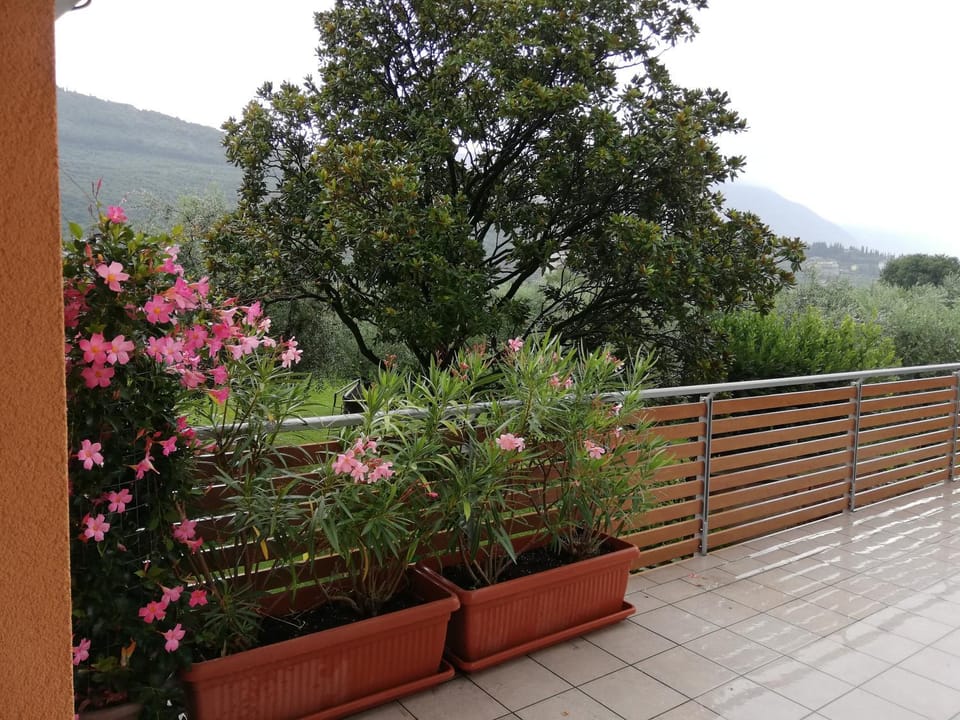 Appartamento La Terrazza Apartment in Riva del Garda