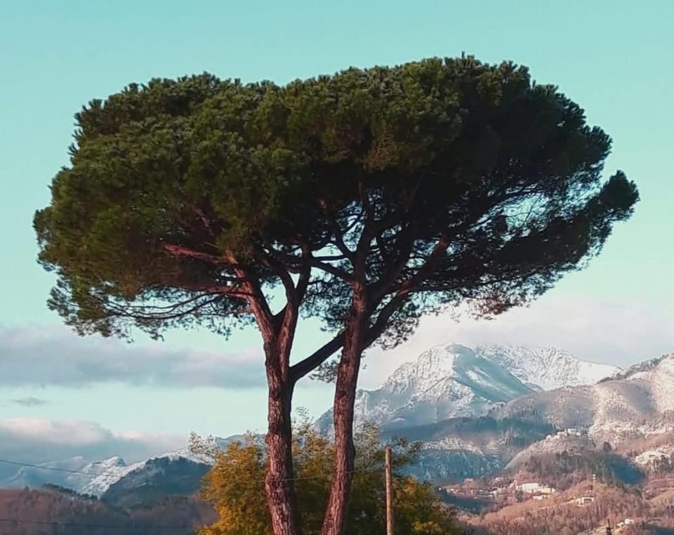 Affittacamere La Foresta di Sopra Bed and Breakfast in Emilia-Romagna