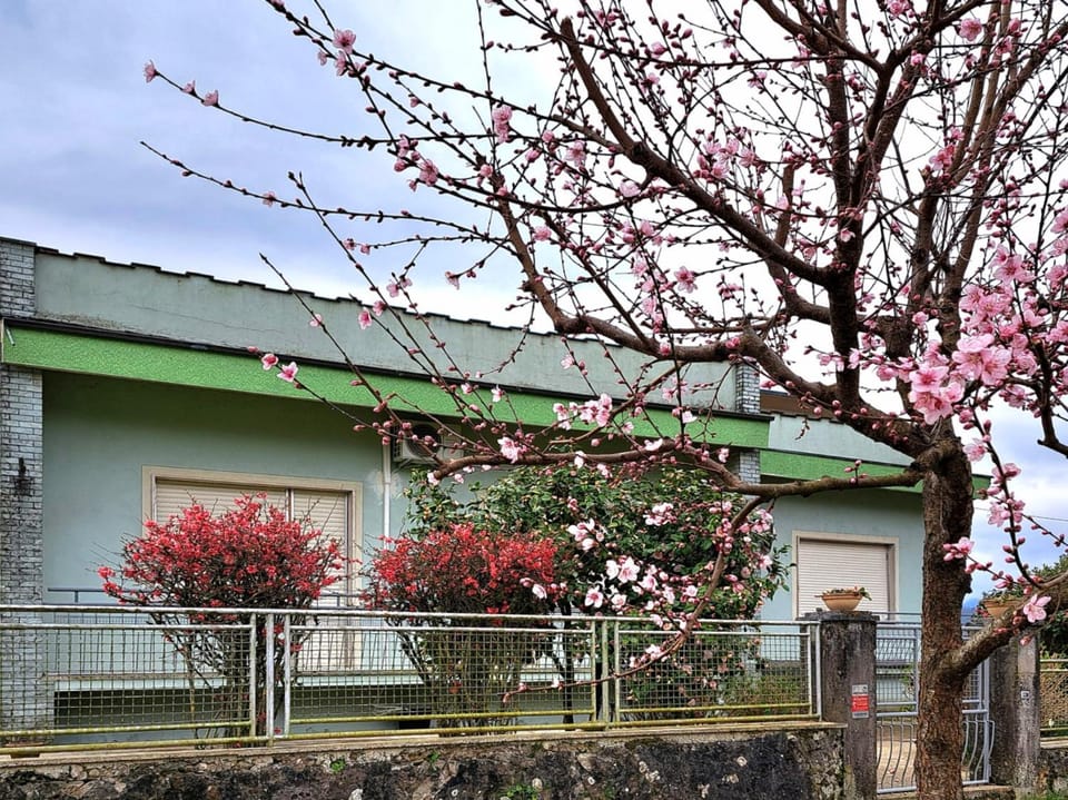 Affittacamere La Foresta di Sopra Bed and Breakfast in Emilia-Romagna