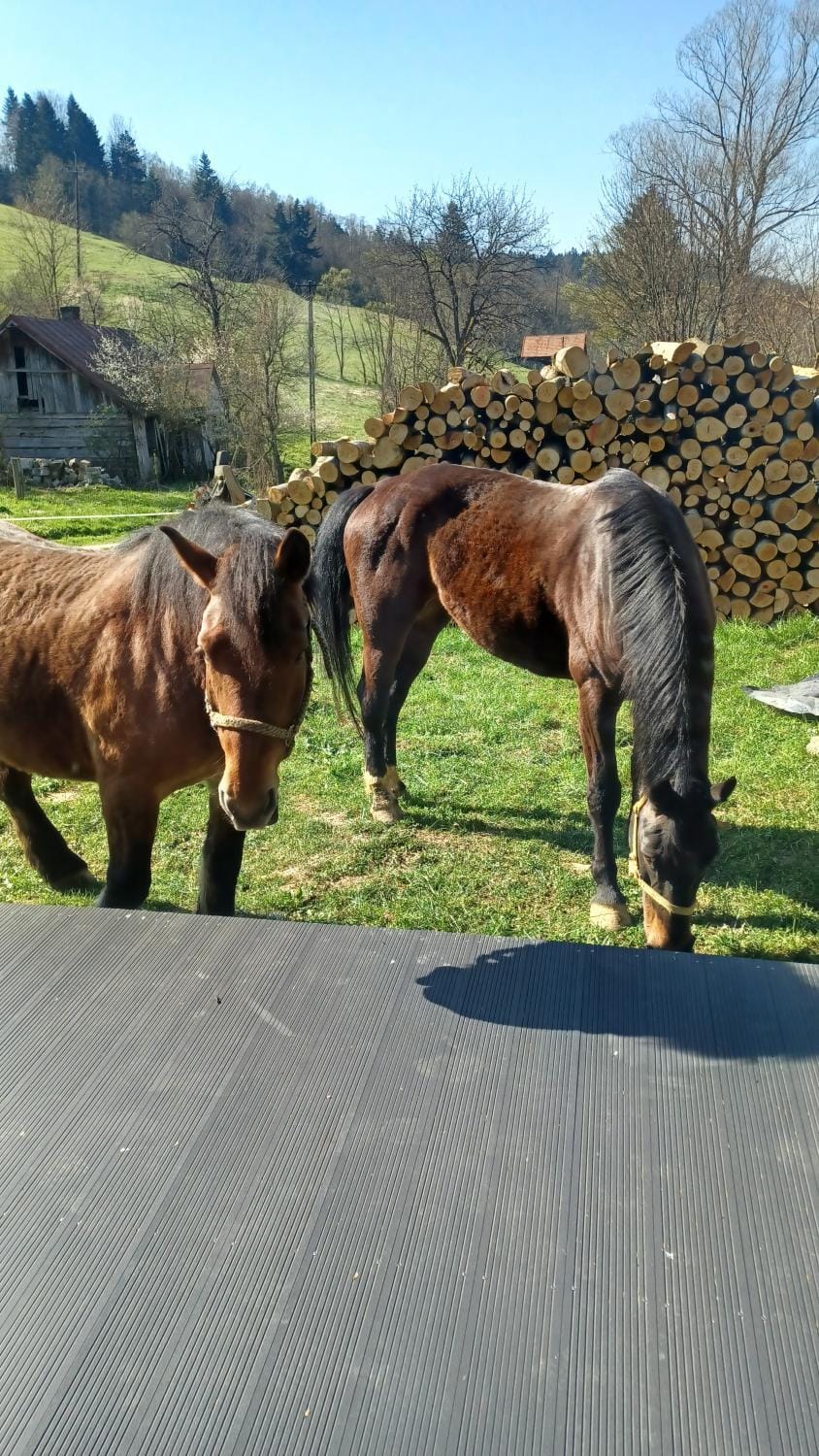 Leśny dzban Campground/ 
RV Resort in Poland