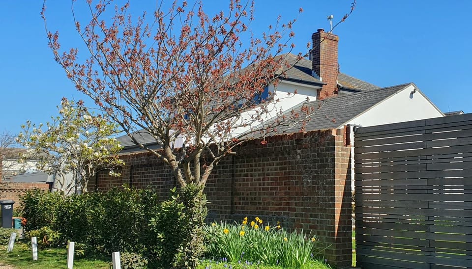 Property building, Garden