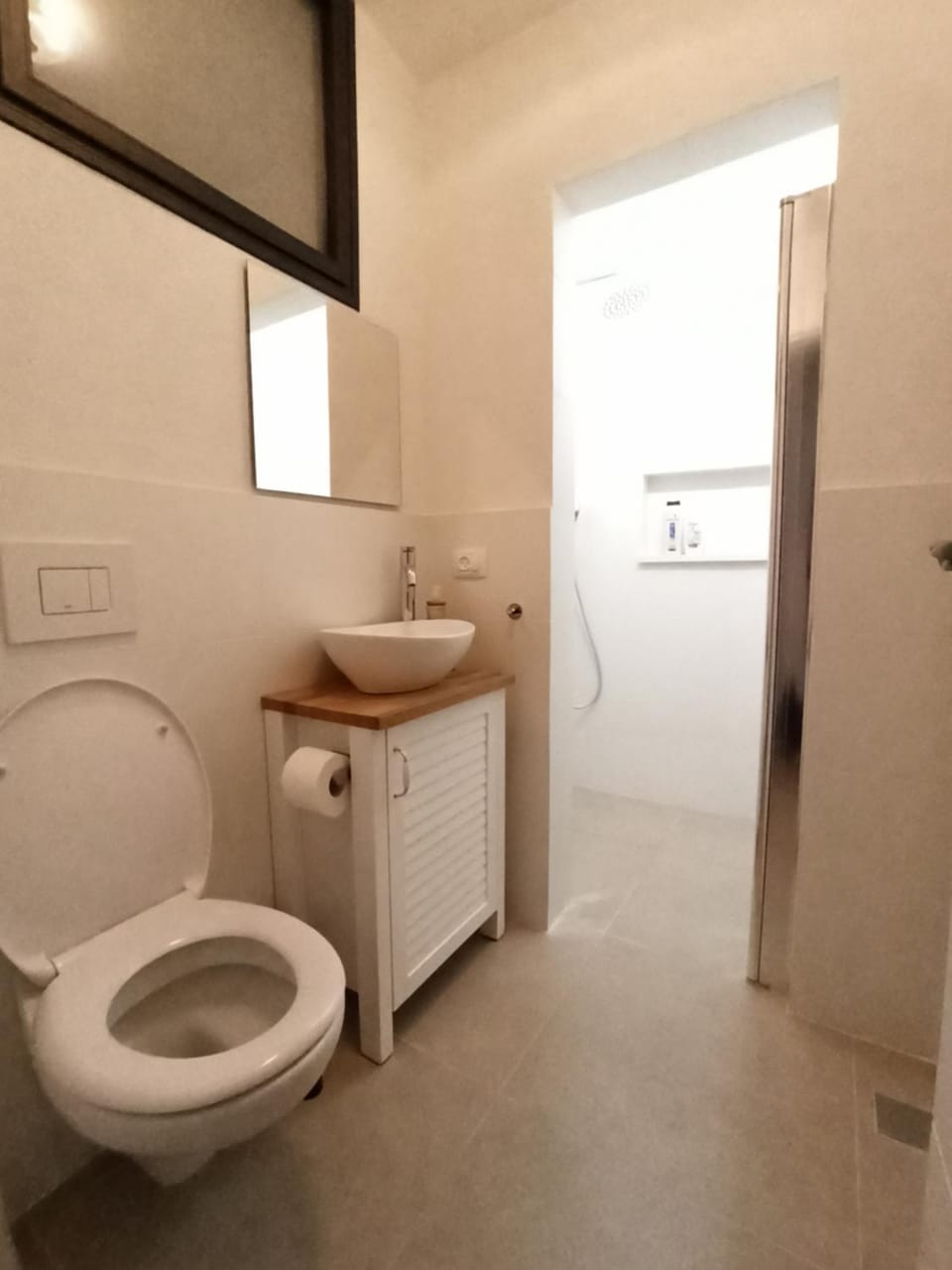 Shower, Toilet, Guests