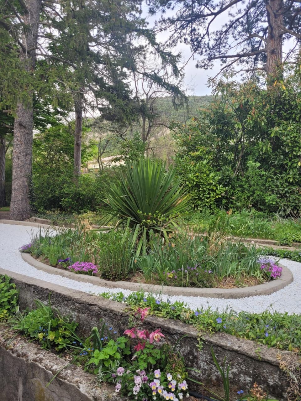 Garden view