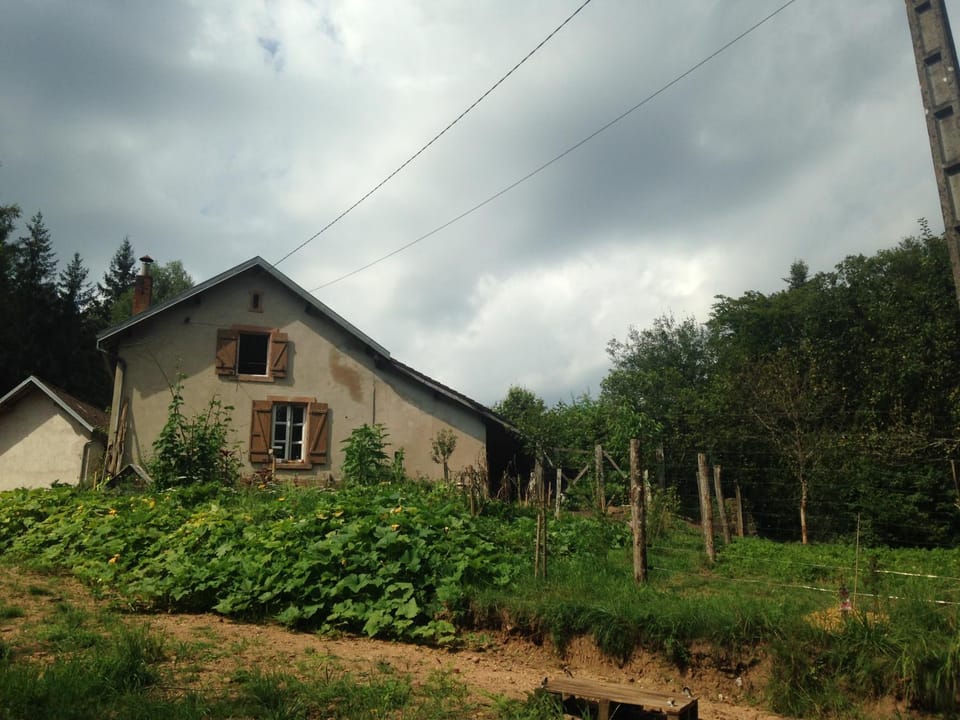 Garden, Garden view