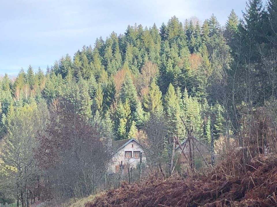 Mountain view