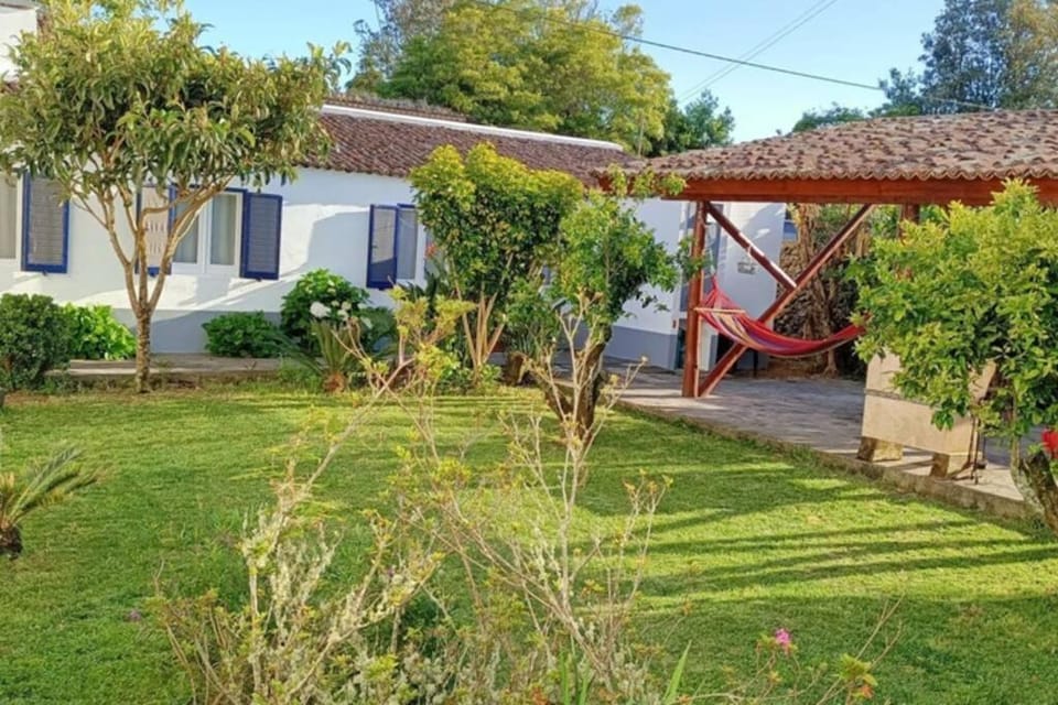 Patio, Garden