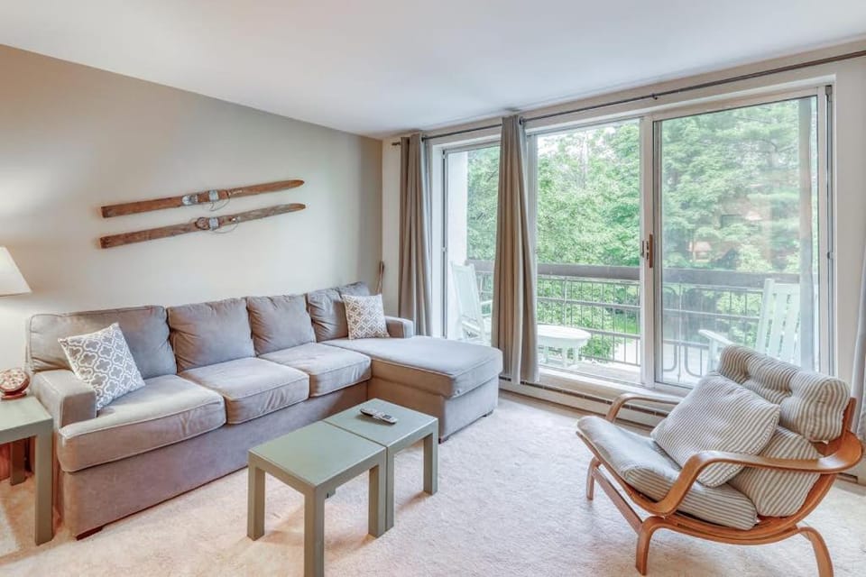 You, Me, & the Mountain Apartment in Warren