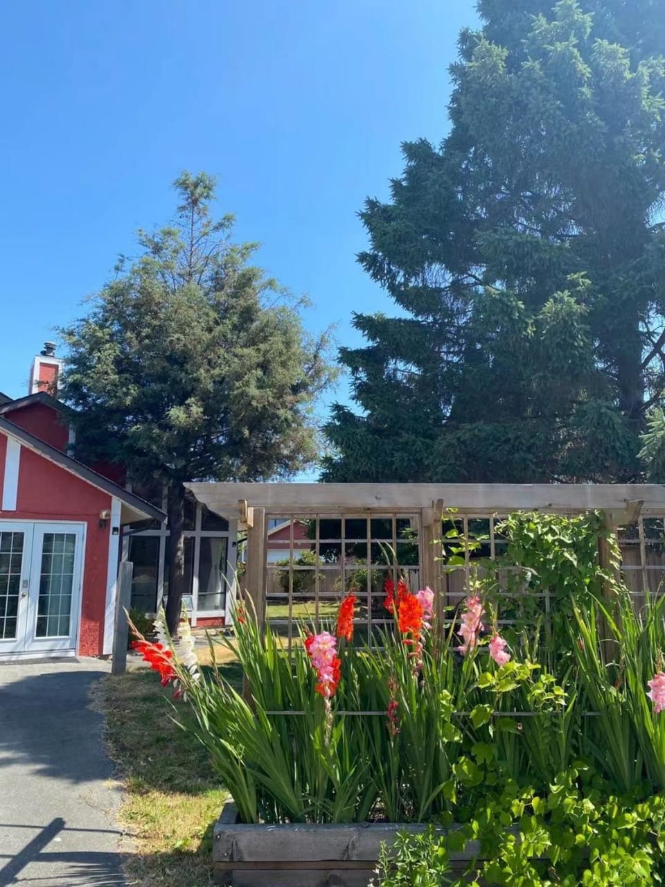 Inner courtyard view
