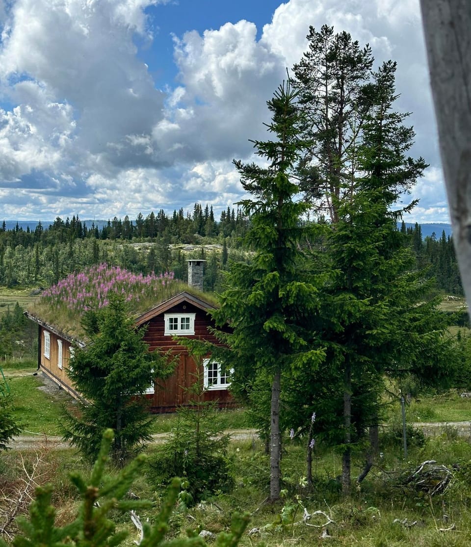 Property building, View (from property/room)