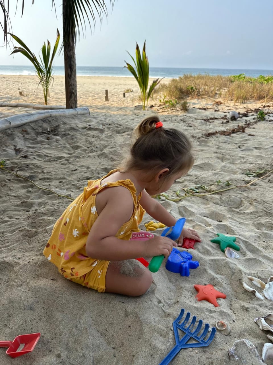 Beachfront Paradise Boutique Hotel Bed and Breakfast in State of Oaxaca