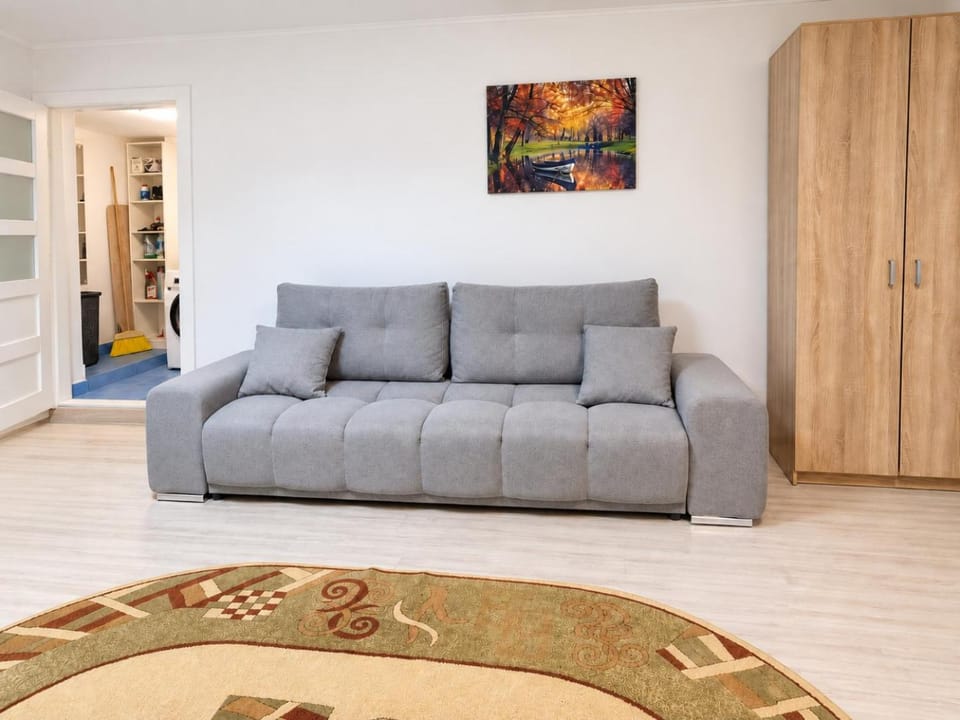 The Historical Family House-Cluj Napoca center Apartment in Cluj-Napoca