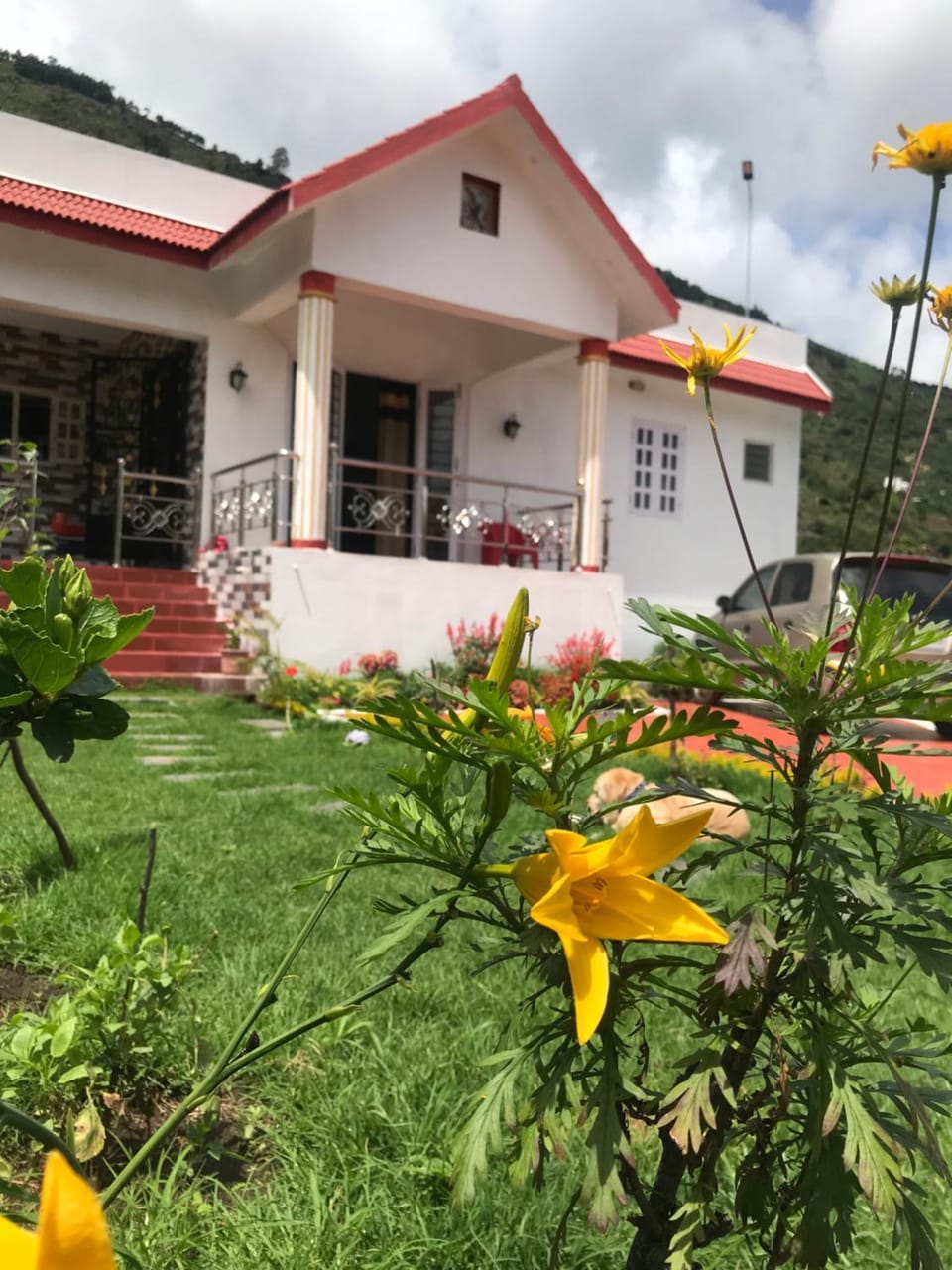 Property building, Garden