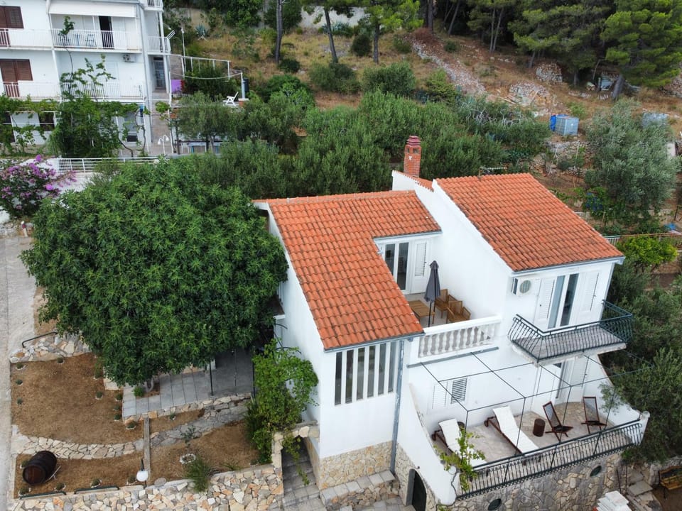 Property building, Garden, Garden view