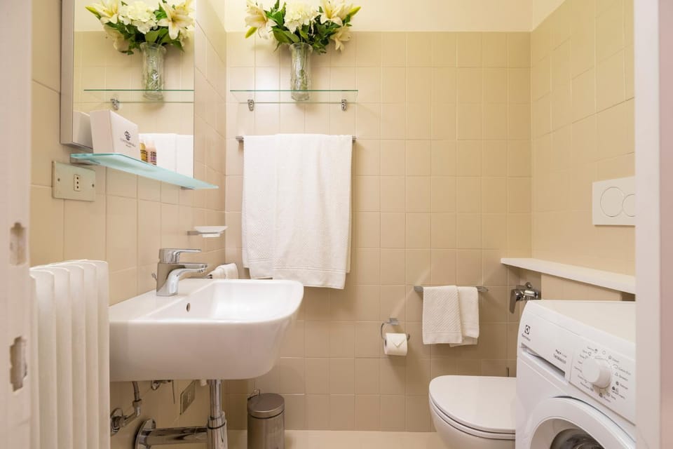 Toilet, Bathroom, towels, washing machine