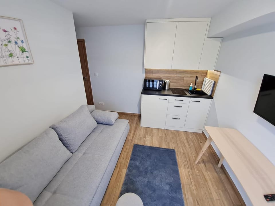 Apartament Łąki18 Apartment in Lesser Poland Voivodeship