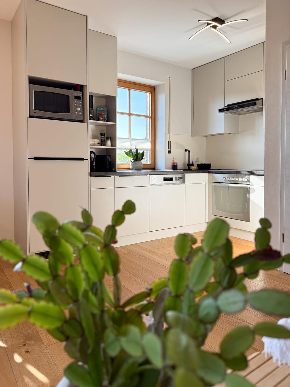 Kitchen or kitchenette, Photo of the whole room, dishwasher, microwave, stove, kitchen