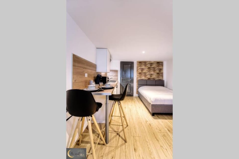 Mignon Studio au coeur de Metz (unenuitametz) Apartment in Metz