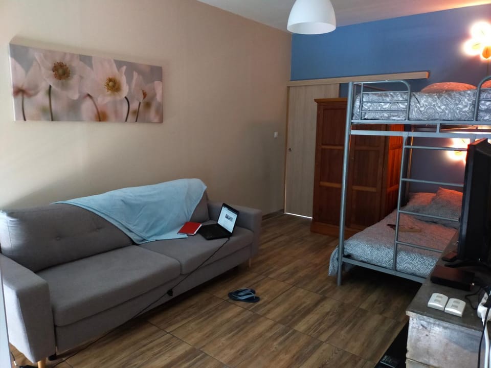 Living room, bunk bed