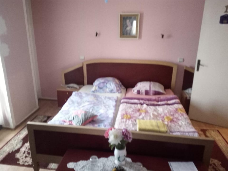 VILLA MI - JA Brestovacka Banja Apartment in Serbia