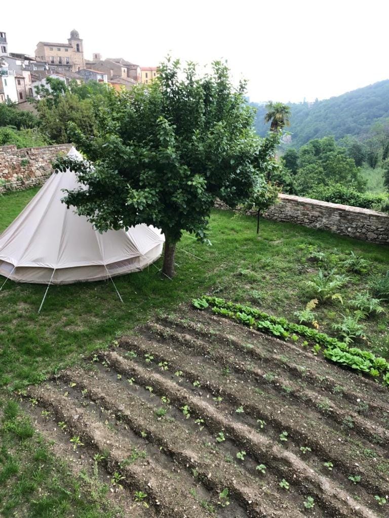 Day, Natural landscape, Garden, Garden view