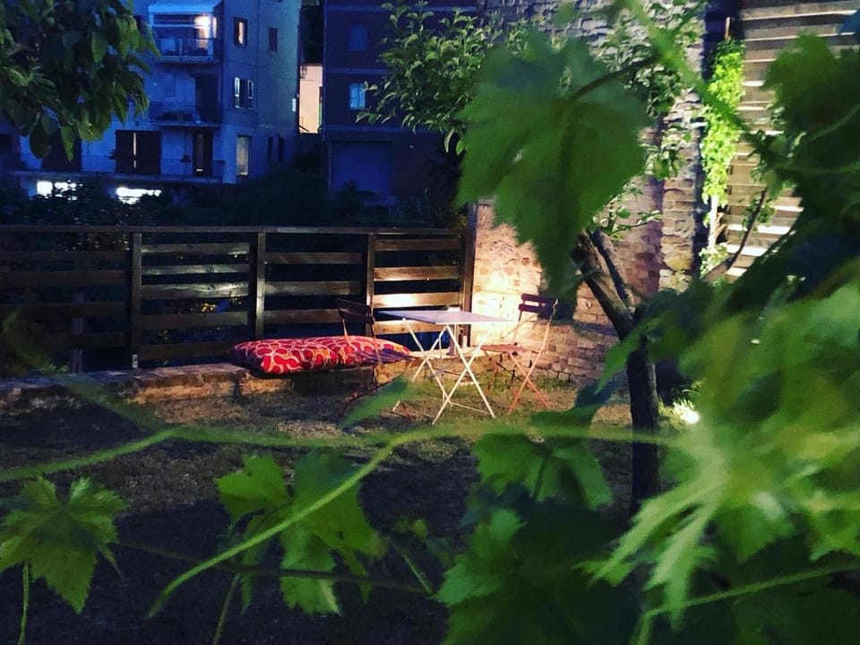Night, Garden, Garden view