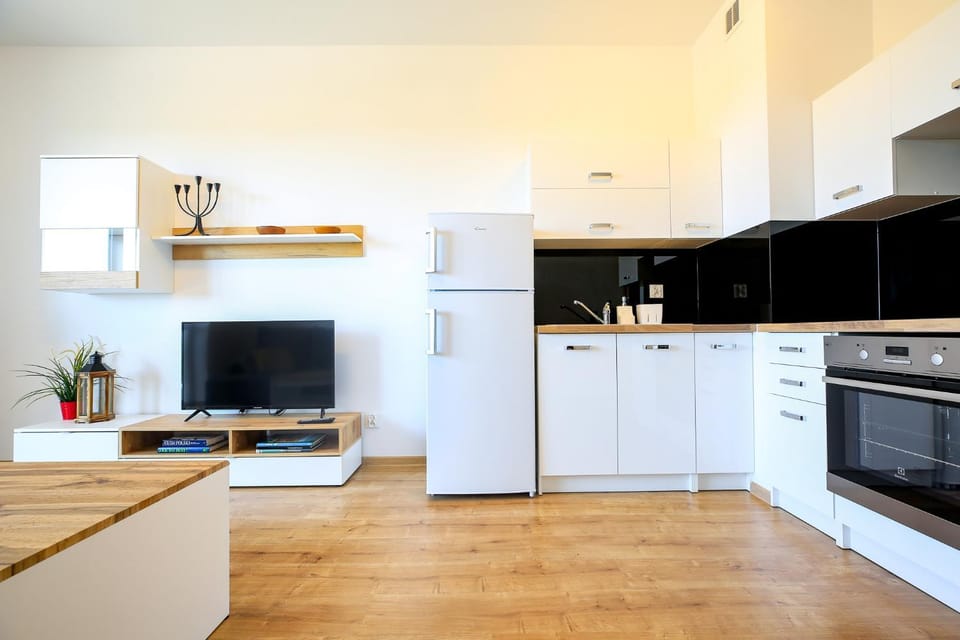 Apartament Comfort Apartment in Lithuania