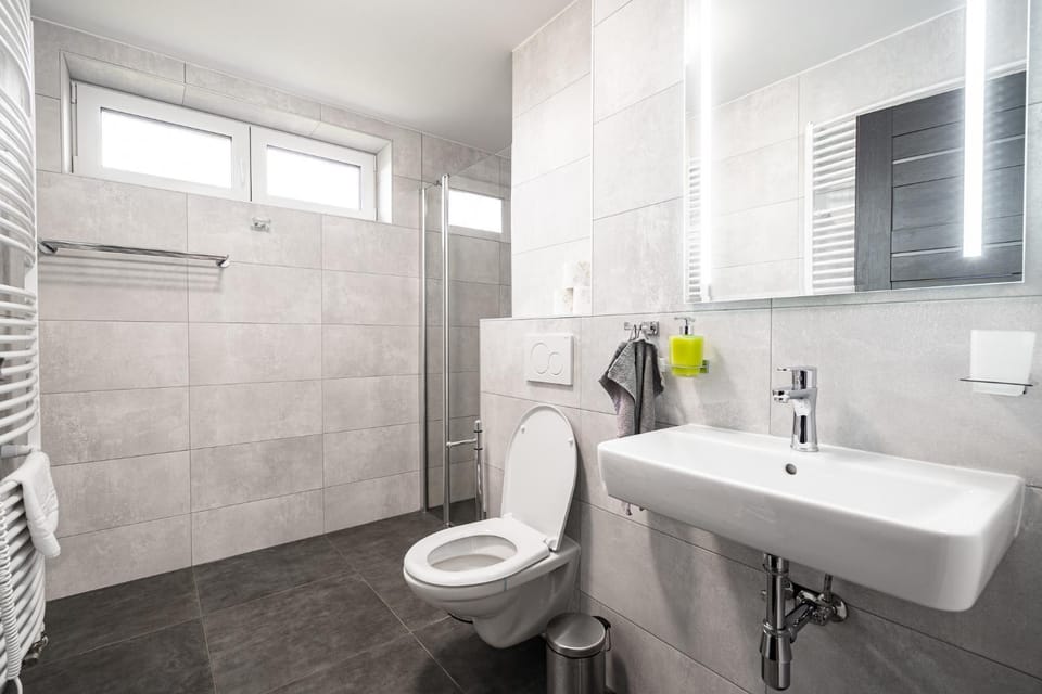 Shower, Toilet, towels