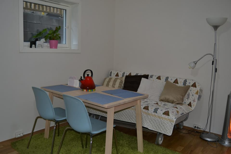 Totally independent apartment near NTNU,Lerkendal and Center Apartment in Trondheim